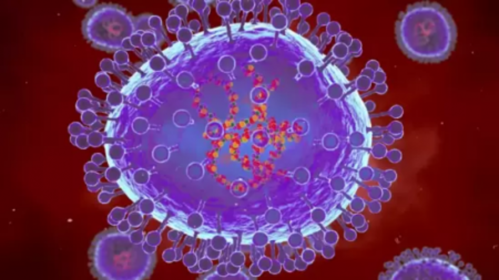 HMPV Virus in 2025: Is This the Next Pandemic After Covid-19?