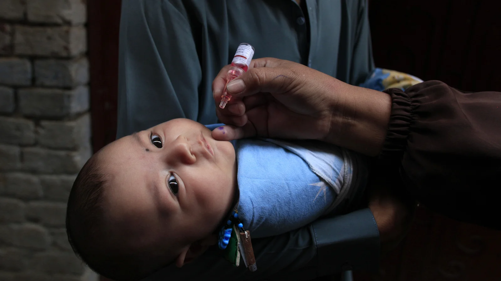 Polio Fake Vaccination Records